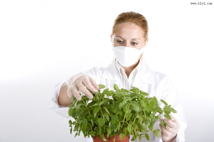 生物实验人员图片