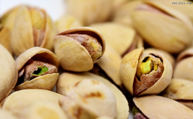开心果的特写图片