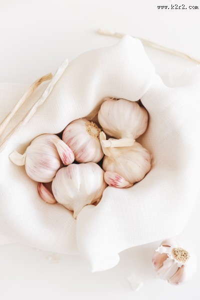 扁球形的大蒜图片