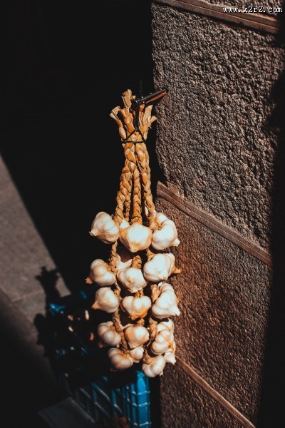 扁球形的大蒜图片