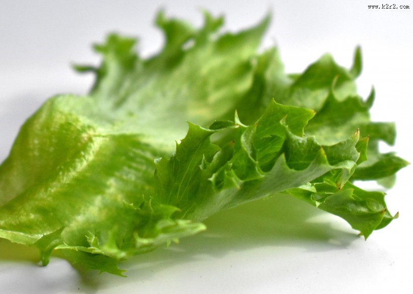 绿色新鲜的蔬菜图片