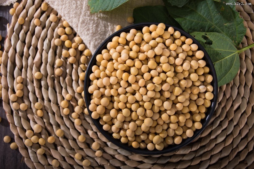 黄豆图片