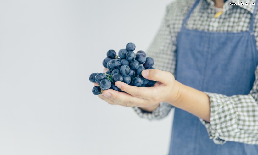 手捧成熟丰收的葡萄图片