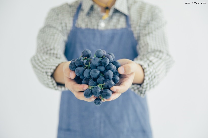 手捧成熟丰收的葡萄图片