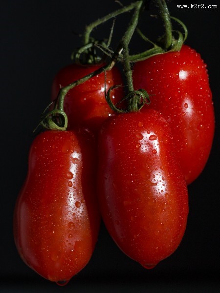 新鲜鲜红的番茄图片