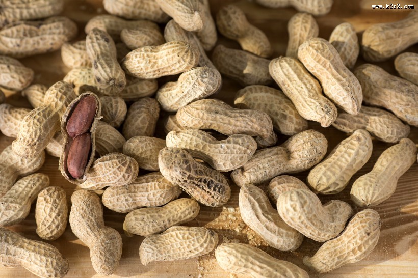 营养又美味的花生图片大全