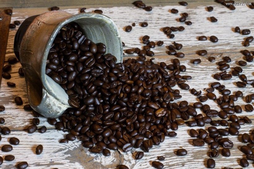 杯子里的咖啡豆图片