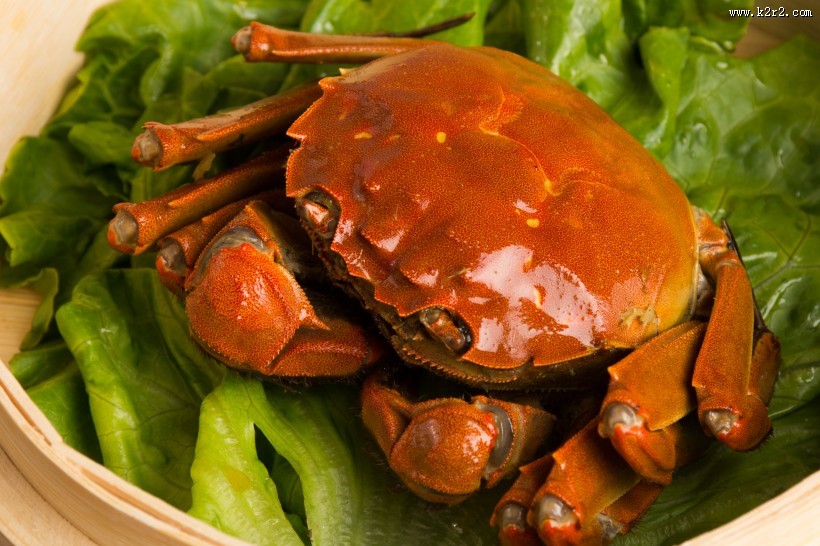 美味清蒸大闸蟹图片