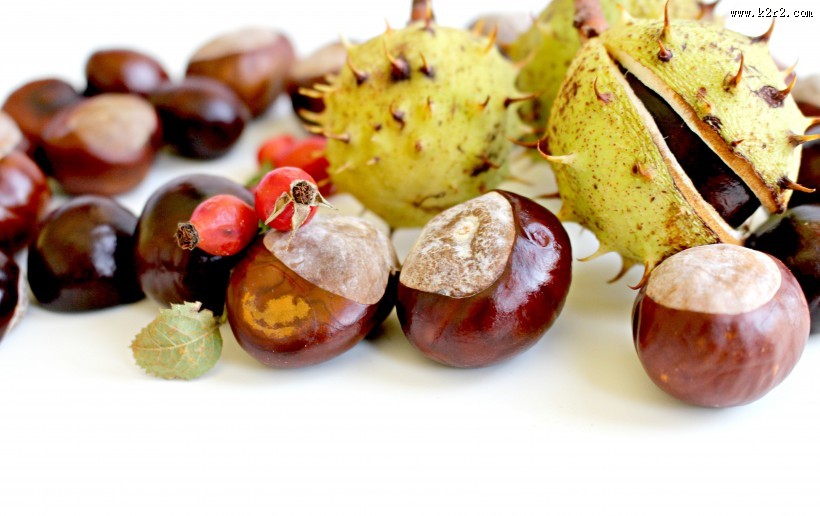 新鲜美味的板栗图片