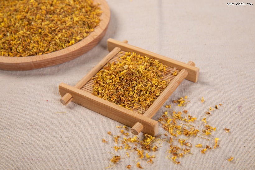 金灿灿香喷喷的桂花图片