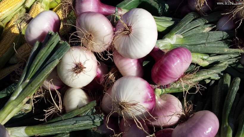 日常食用的洋葱图片