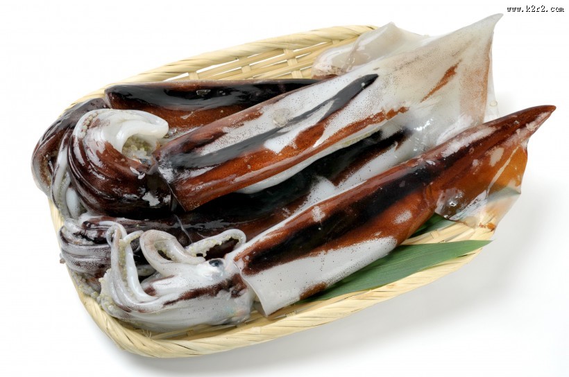 新鲜的乌贼海鲜图片大全