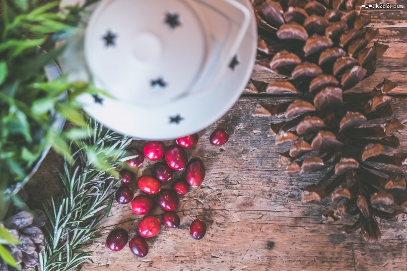 蔓越莓图片大全