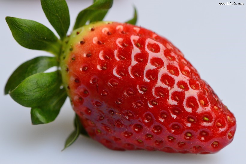 一颗熟透的草莓图片大全