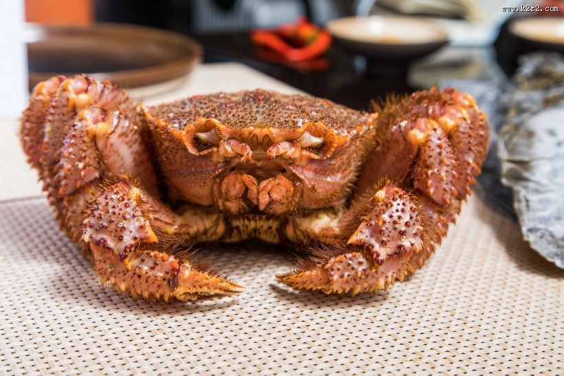 美味海鲜大餐图片