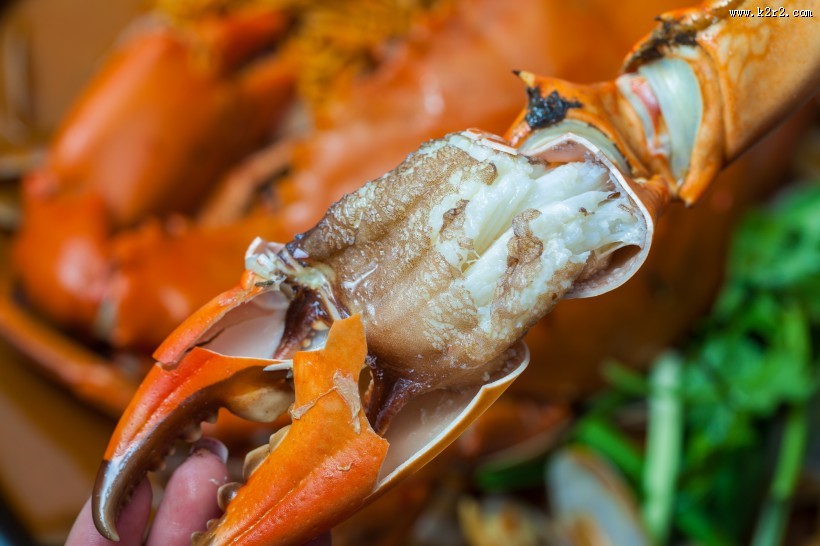 美味海鲜大餐图片