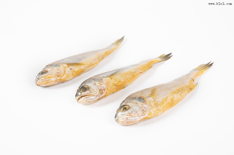 营养小黄鱼图片大全