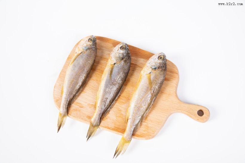 营养小黄鱼图片大全