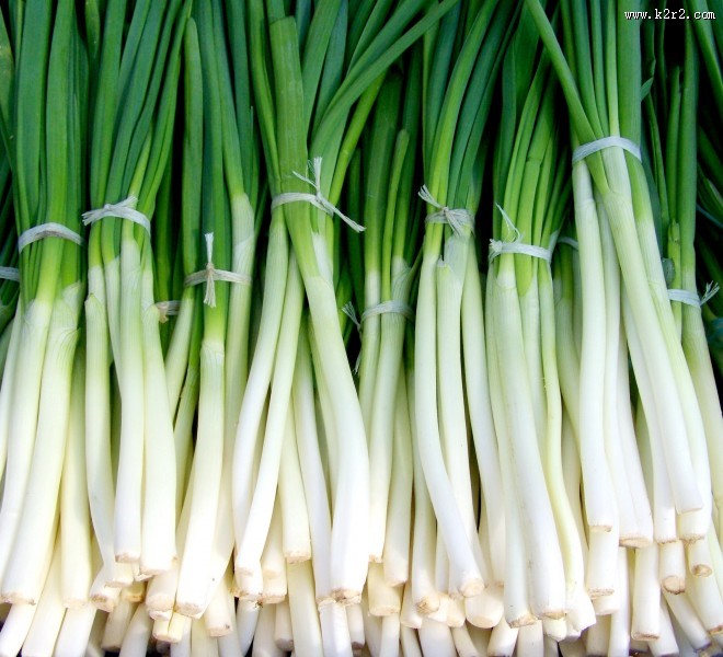 日常食用的大葱图片