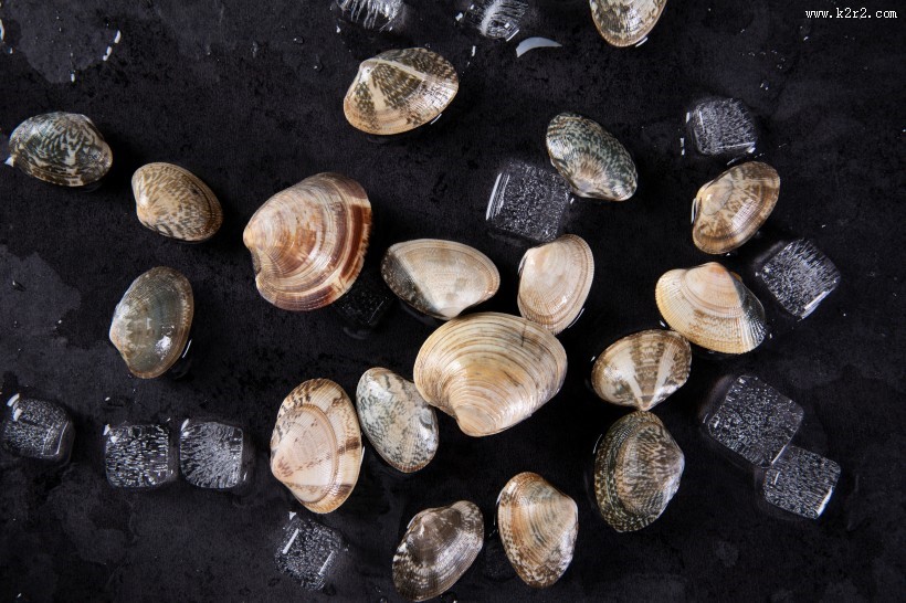 新鲜的蛤喇图片大全