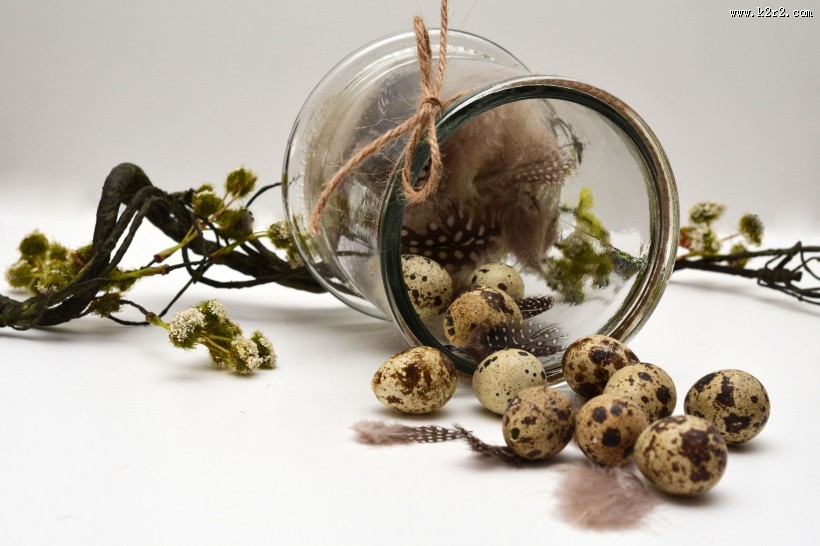 富含营养的鹌鹑蛋图片