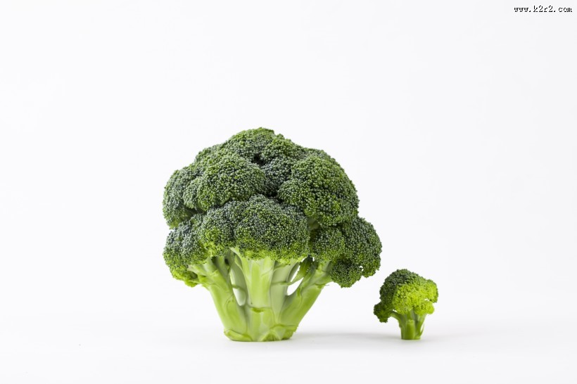 绿色营养西兰花图片