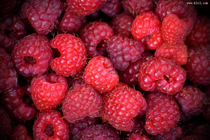 红色覆盆子图片