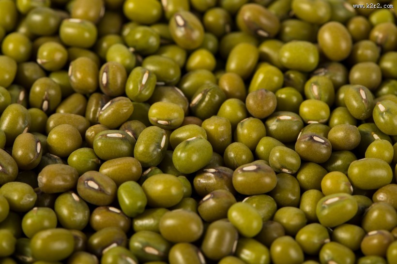 绿豆图片大全