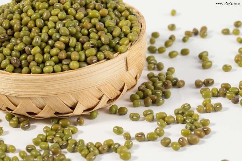 绿豆图片大全