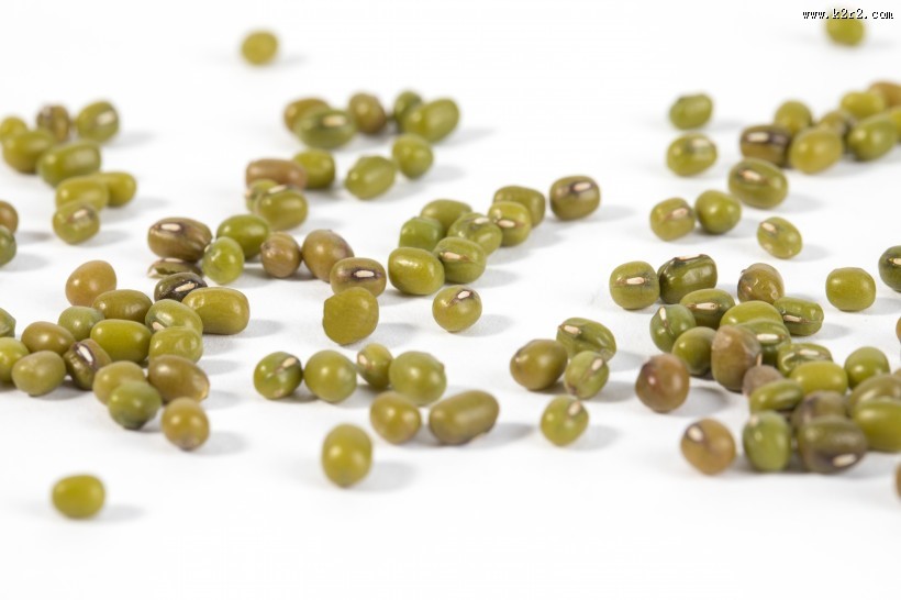 绿豆图片大全