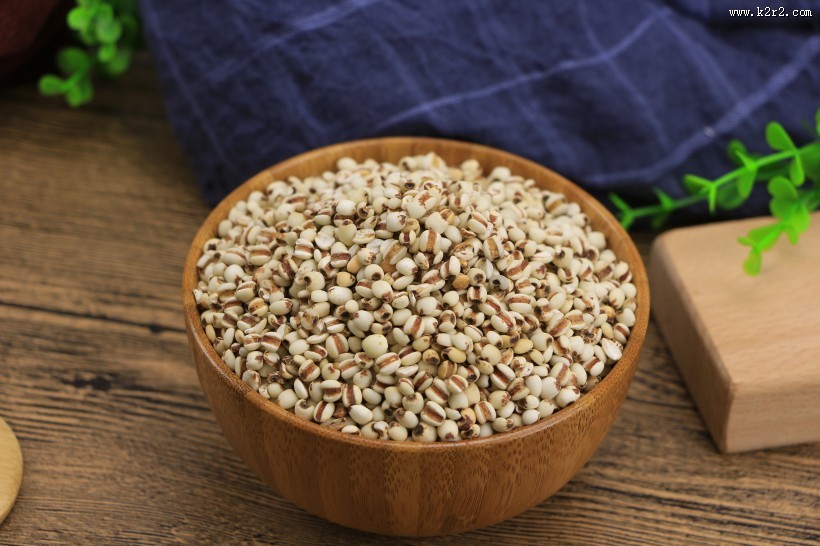 薏米薏仁图片大全