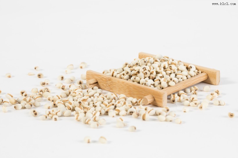 薏米薏仁图片大全