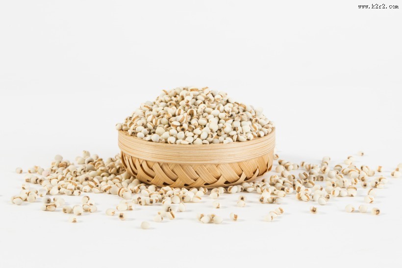 薏米薏仁图片大全