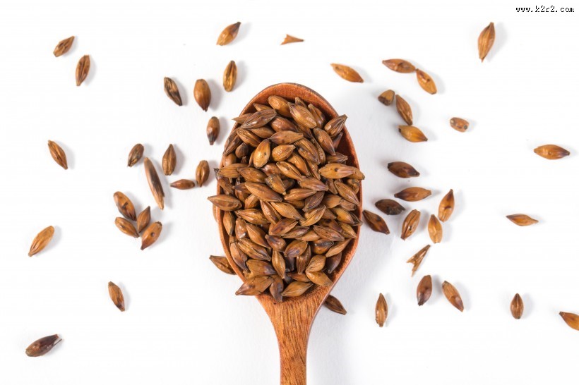 消渴除热的大麦茶图片