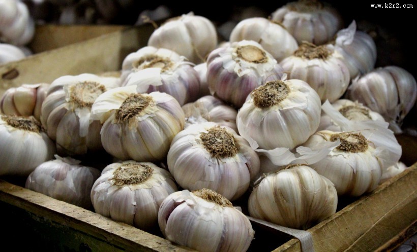 杀毒杀菌的大蒜图片大全