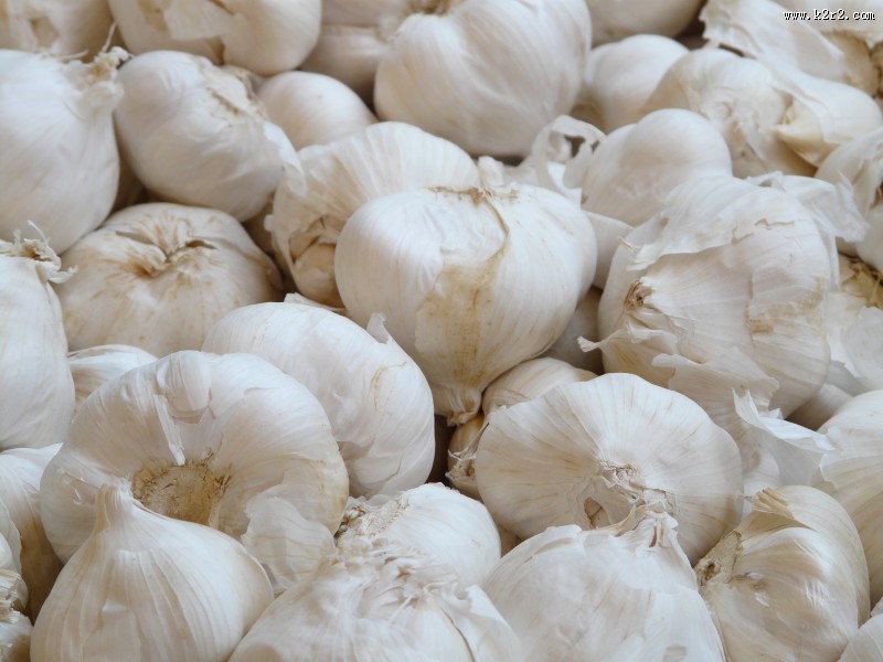杀毒杀菌的大蒜图片大全