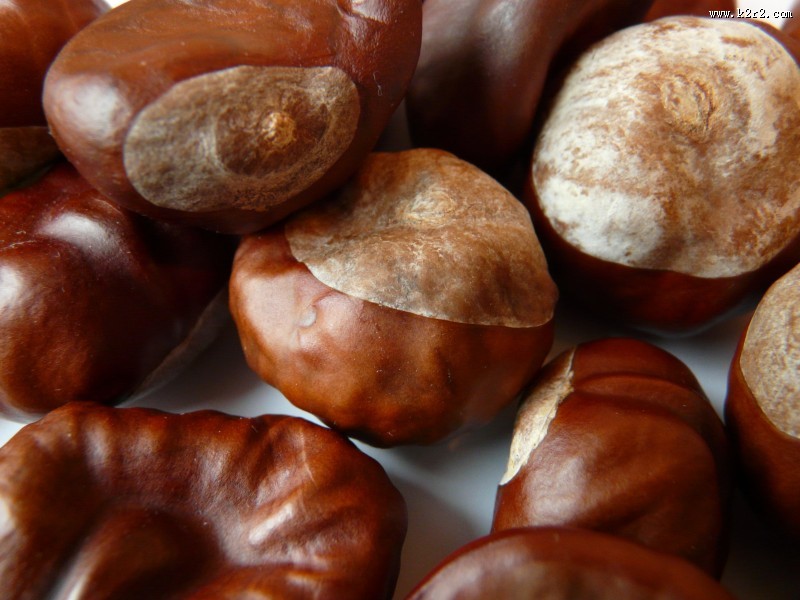 美味可口的板栗图片