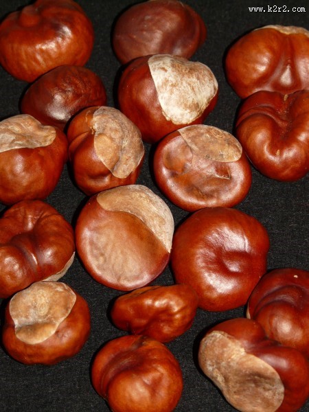 美味可口的板栗图片