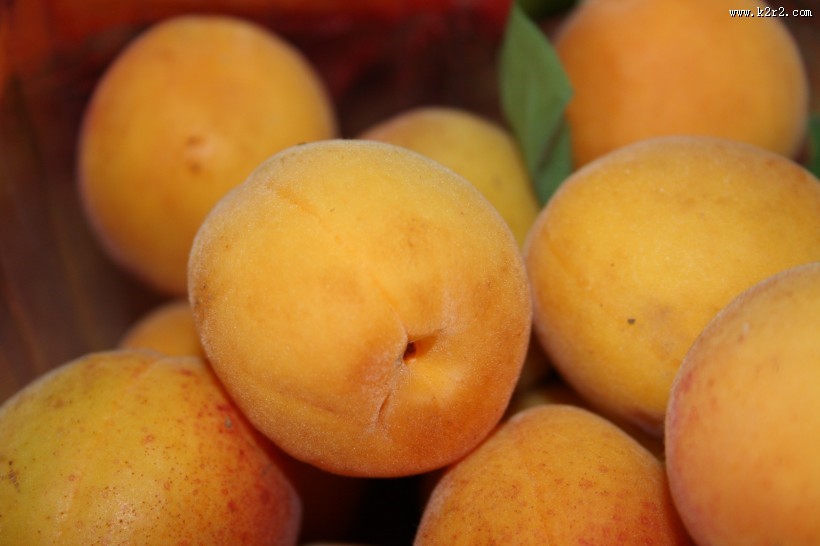 酸甜可口的杏图片