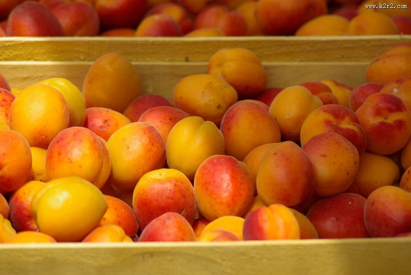 酸甜可口的杏图片