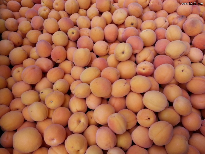 酸甜可口的杏图片