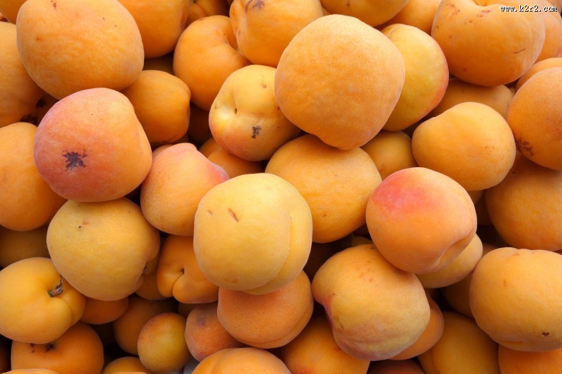 酸甜可口的杏图片