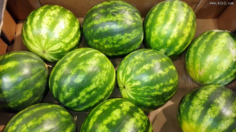新鲜的西瓜图片