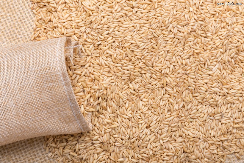 营养健康五谷杂粮燕麦图片