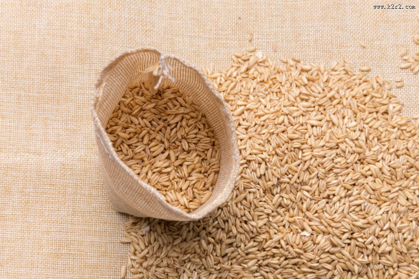 营养健康五谷杂粮燕麦图片