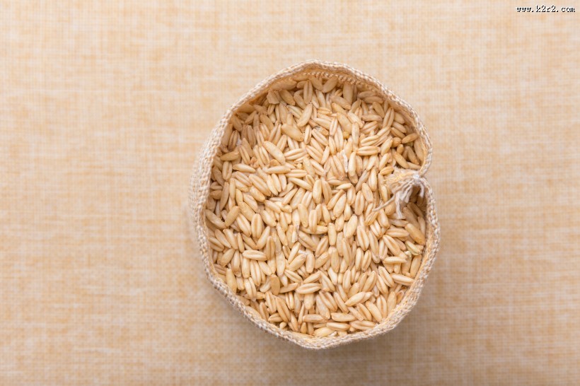营养健康五谷杂粮燕麦图片