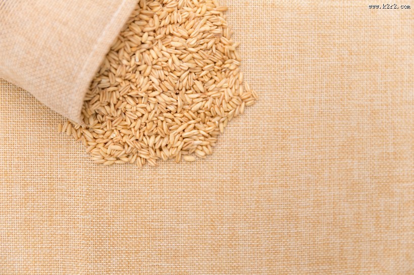 营养健康五谷杂粮燕麦图片