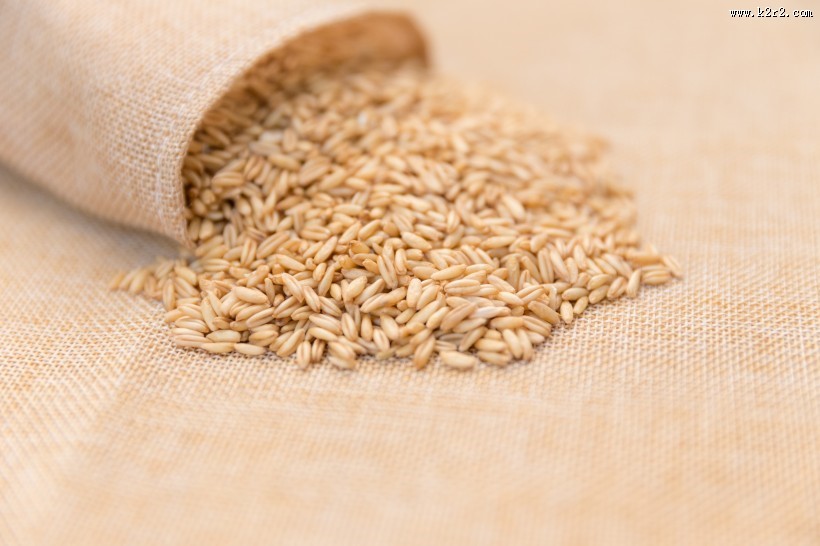 营养健康五谷杂粮燕麦图片