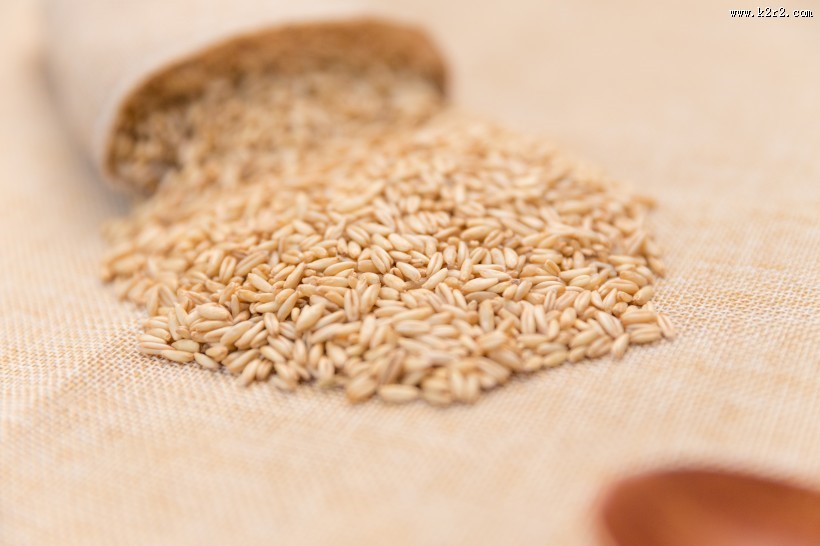 营养健康五谷杂粮燕麦图片