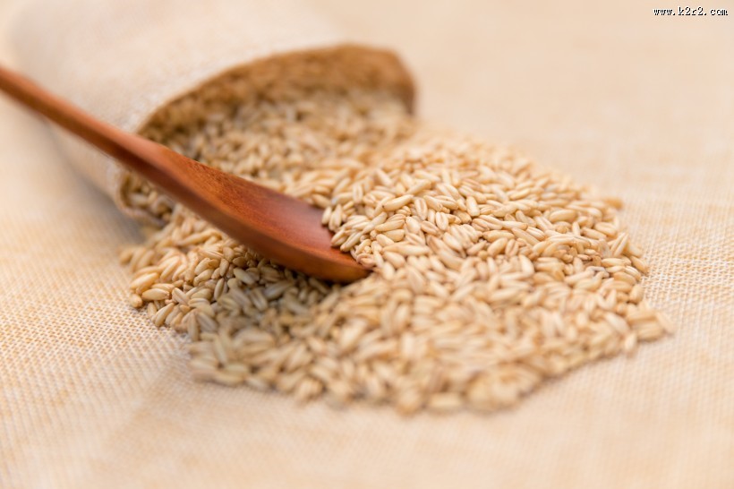 营养健康五谷杂粮燕麦图片